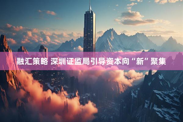 融汇策略 深圳证监局引导资本向“新”聚集